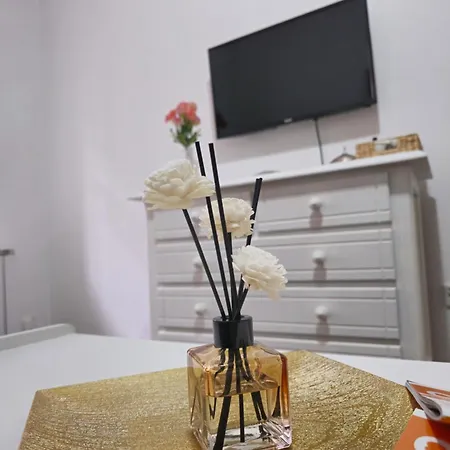 Apartment Sg, *